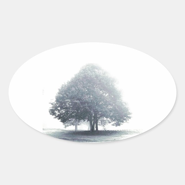 A Tree in Fog Oval Sticker (Front)