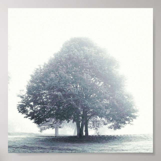 A Tree in Fog Poster (Front)