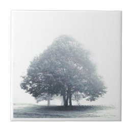 A Tree in Fog Tile