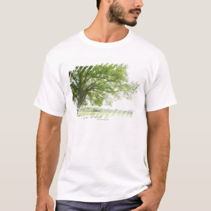 A tree in the field of grass T-Shirt