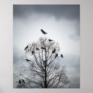 A tree in which many crows have rest poster