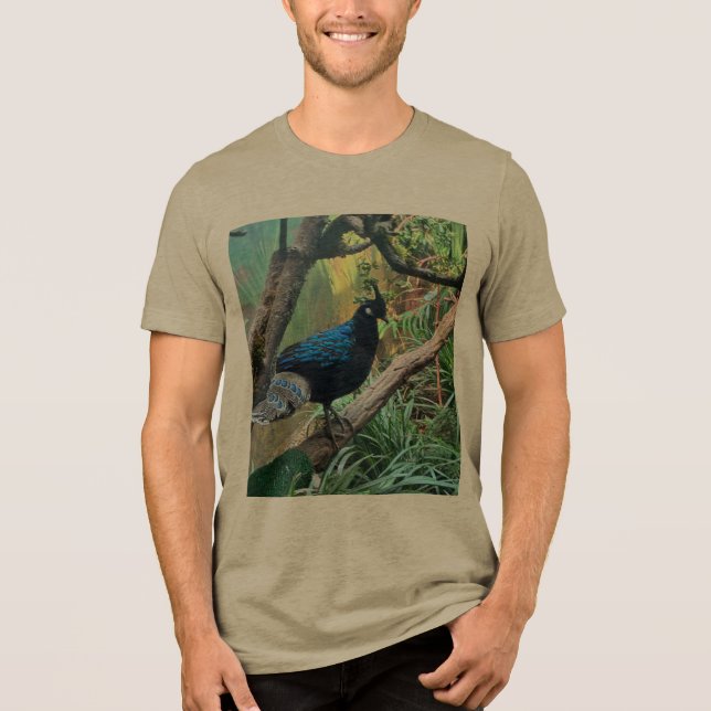 A  Tri-Blend SHIRT (Front)