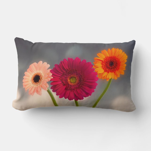 A Trio of Gerberas Lumbar Cushion (Front)
