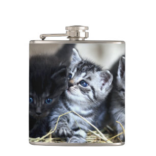 A Trio of Kittens Nesseled Together Hip Flask
