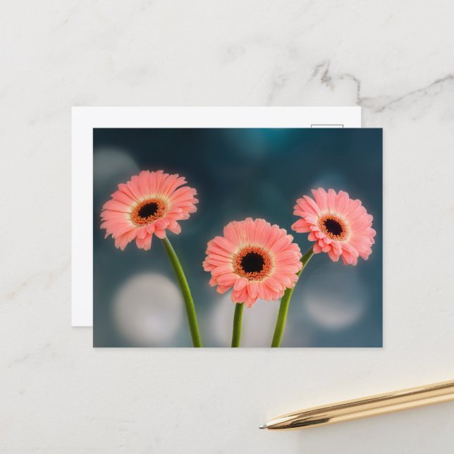A Trio of Pink Gerberas Postcard (Front/Back In Situ)