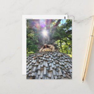 A Troll Sleeps Under a Beautiful Tree Postcard