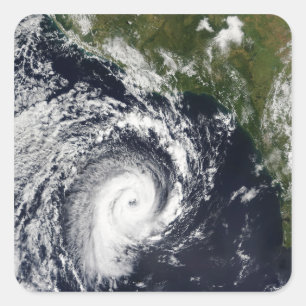 A tropical cyclone square sticker