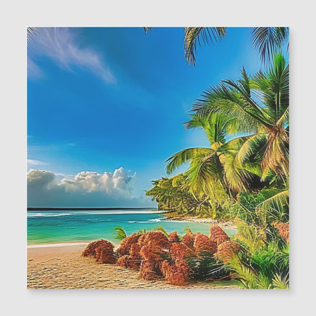 A tropical paradise.   (Front)