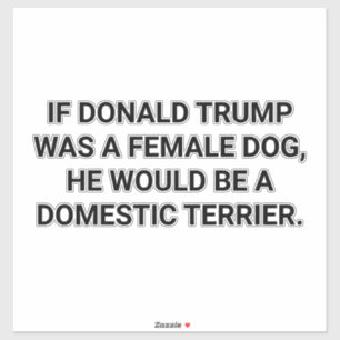 A TRUMP-DOG DOMESTIC TERRIER Hankamer Artjunkhaus