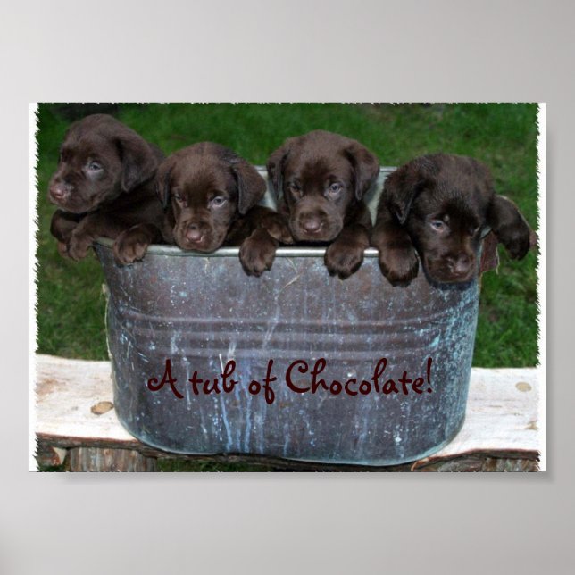 A tub of Chocolate picture Poster (Front)