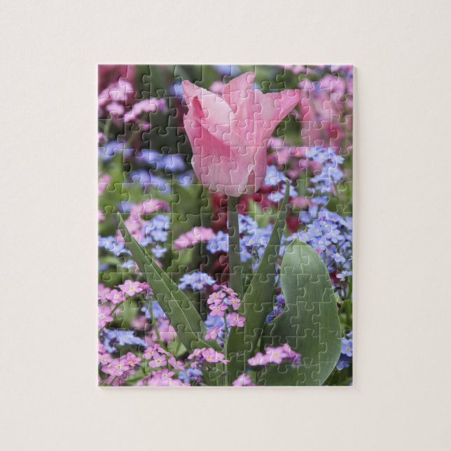 A tulip at Luxembourg Gardens, Paris, France Jigsaw Puzzle (Vertical)
