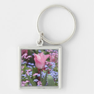 A tulip at Luxembourg Gardens, Paris, France Key Ring