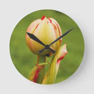 A tulip bud round clock
