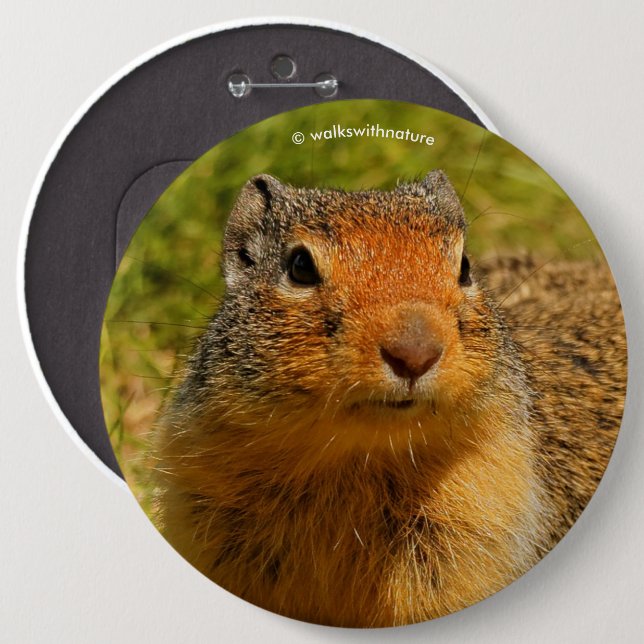 A Twitchy-Nosed Columbian Ground Squirrel 6 Cm Round Badge (Front & Back)