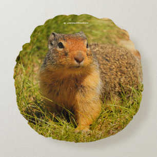 A Twitchy-Nosed Columbian Ground Squirrel Round Cushion