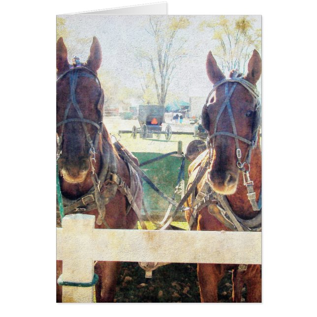 A Two Horse Team (Front)