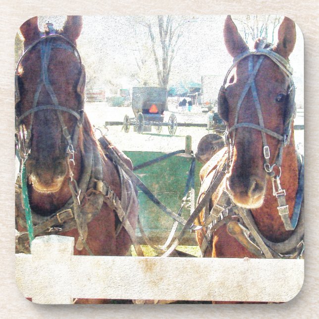 A Two Horse Team Coaster (Front)