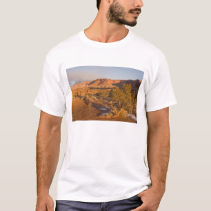 A Utah Juniper Juniperus osteosperma) tree in 2 T-Shirt