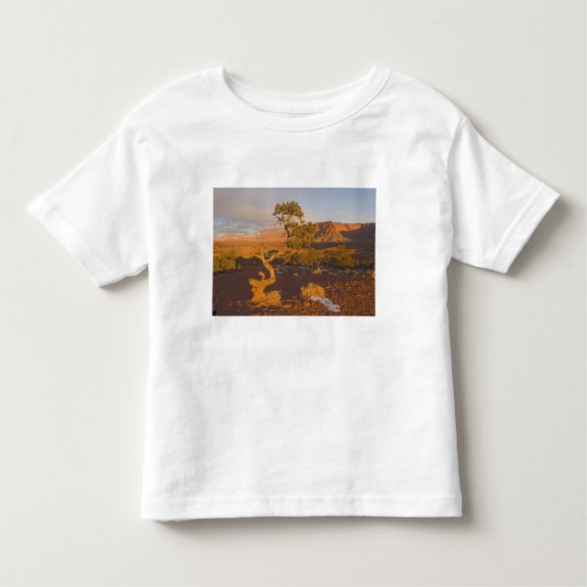 A Utah Juniper Juniperus osteosperma) tree in Toddler T-Shirt (Front)