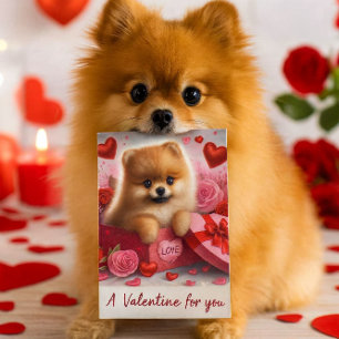 A Valentine for You Cute Pomeranian Dog Holiday Postcard