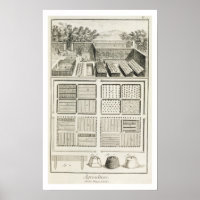 A vegetable garden, from 'The Encyclopaedia of