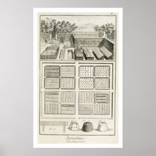 A vegetable garden, from 'The Encyclopaedia of Poster