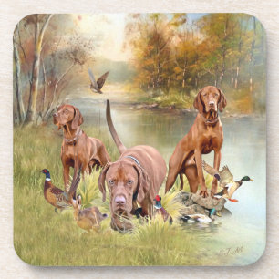 A versatile aristocrat in the Hungarian Vizsla Coaster