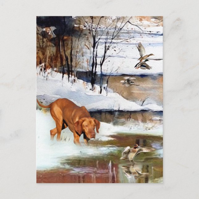 A versatile aristocrat in the Hungarian Vizsla Holiday Postcard (Front)