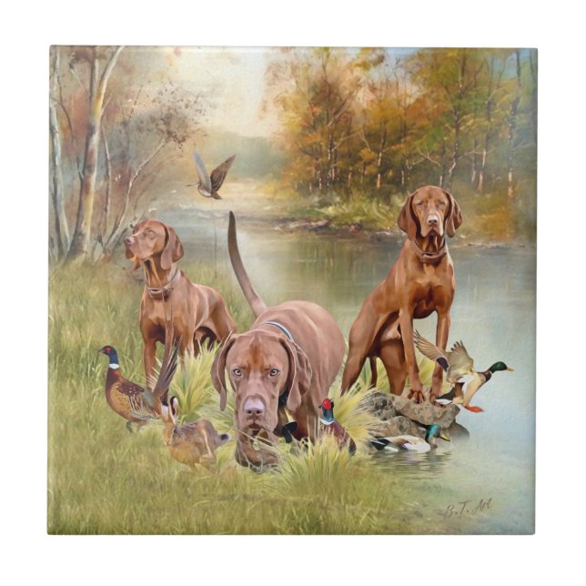 A versatile aristocrat in the Hungarian Vizsla Tile (Front)