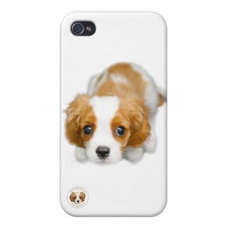 A Very Cavalier White iphone 4/4s Case