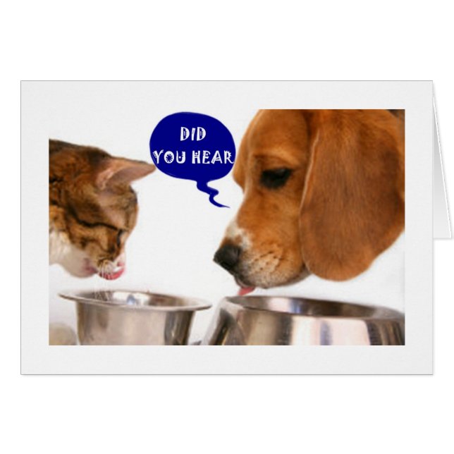 A VERY SPECIAL YOUNG WOMAN IS ***21*** (Front Horizontal)