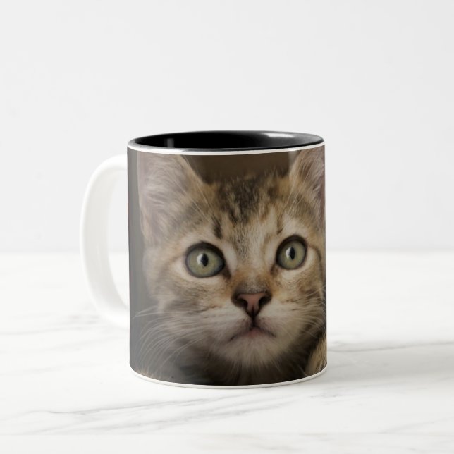 A Very Sweet Tabby Kitten Two-Tone Coffee Mug (Front Left)