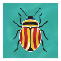 A vibrant beetle with red, yellow, and black strip