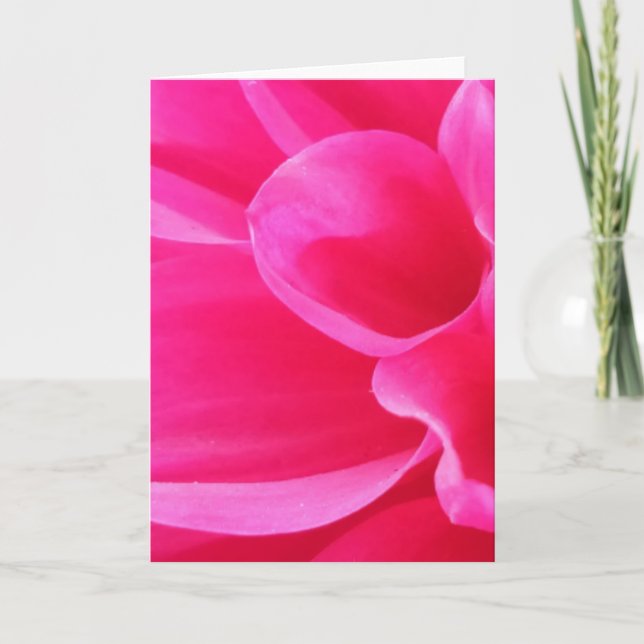 A Vibrant Close-up Delilah Flower (Blank) Card (Front)
