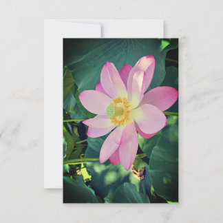 A vibrant lotus flower RSVP card
