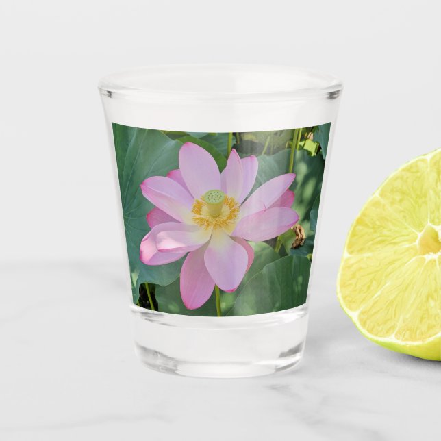 A vibrant lotus flower shot glass (Front)