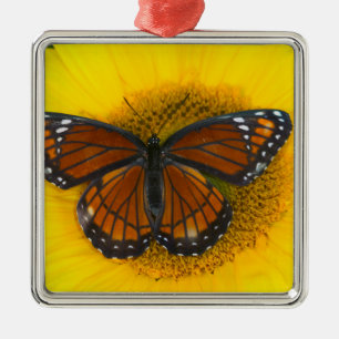 A Viceroy Butterfly   Limenitis Archippus Metal Tree Decoration