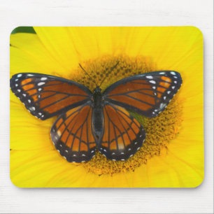 A Viceroy Butterfly Limenitis Archippus Mouse Pad