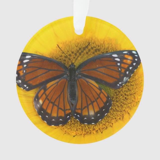 A Viceroy Butterfly | Limenitis Archippus Ornament (Front)