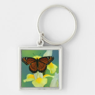 A Viceroy Butterfly on a Yellow Japanese Iris Key Ring