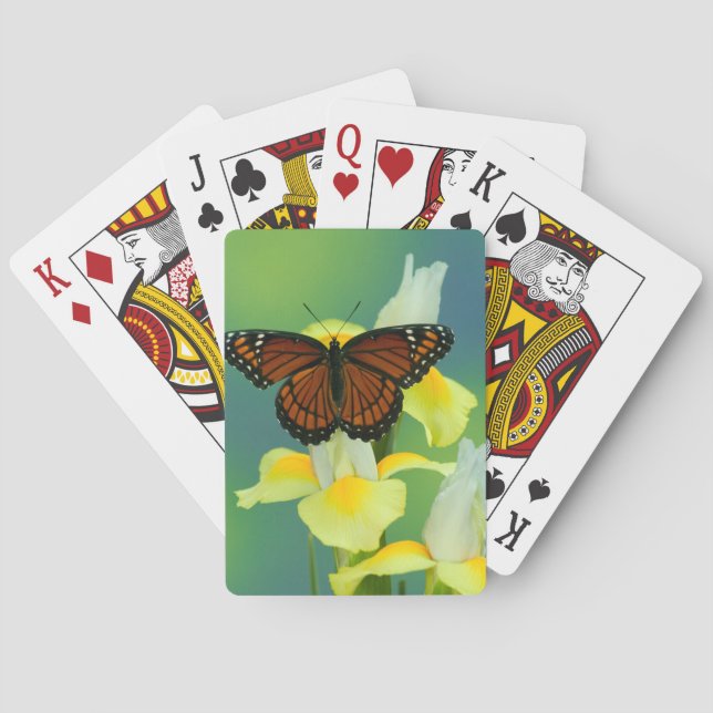 A Viceroy Butterfly on a Yellow Japanese Iris Playing Cards (Back)