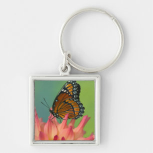A Viceroy Butterfly on a Zinnia Key Ring