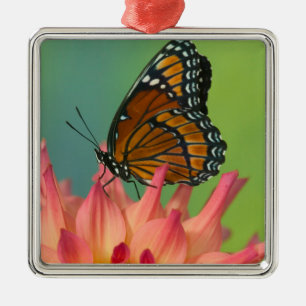 A Viceroy Butterfly on a Zinnia Metal Tree Decoration