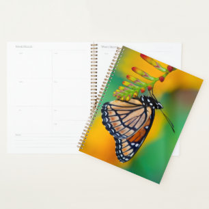 A Viceroy Butterfly on Flowers Planner