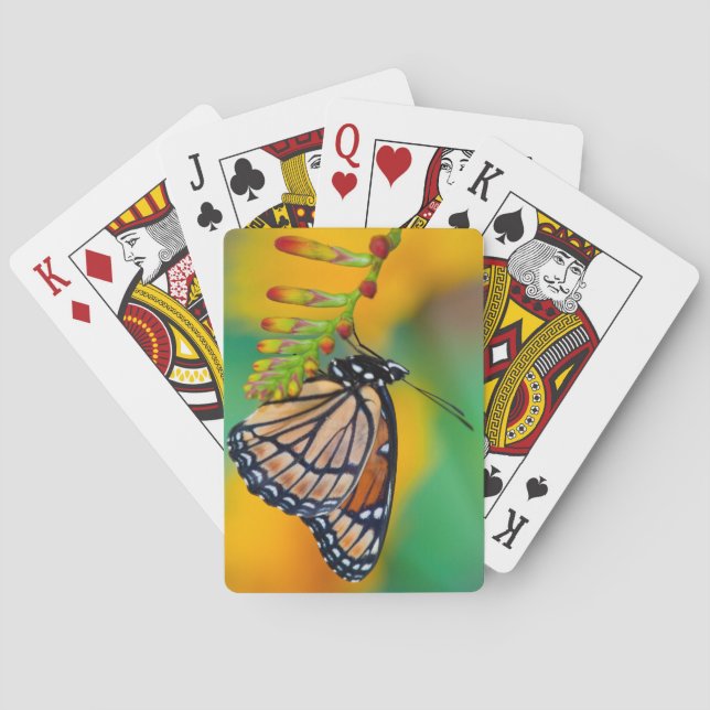 A Viceroy Butterfly on Flowers Playing Cards (Back)