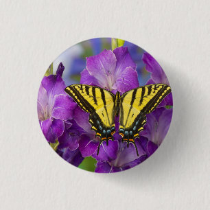 A Viceroy Butterfly on Purple Glads 3 Cm Round Badge