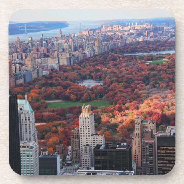 A view from above: Autumn in Central Park 01 Coaster (Front)