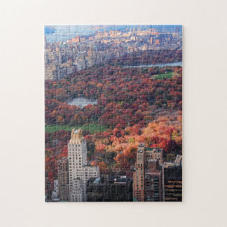 A view from above: Autumn in Central Park 01 Jigsaw Puzzle