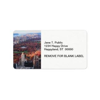 A view from above: Autumn in Central Park 01 Label