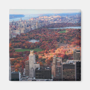 A view from above: Autumn in Central Park 01 Magnet